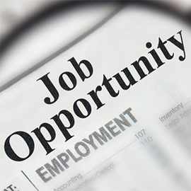 Job Seekers